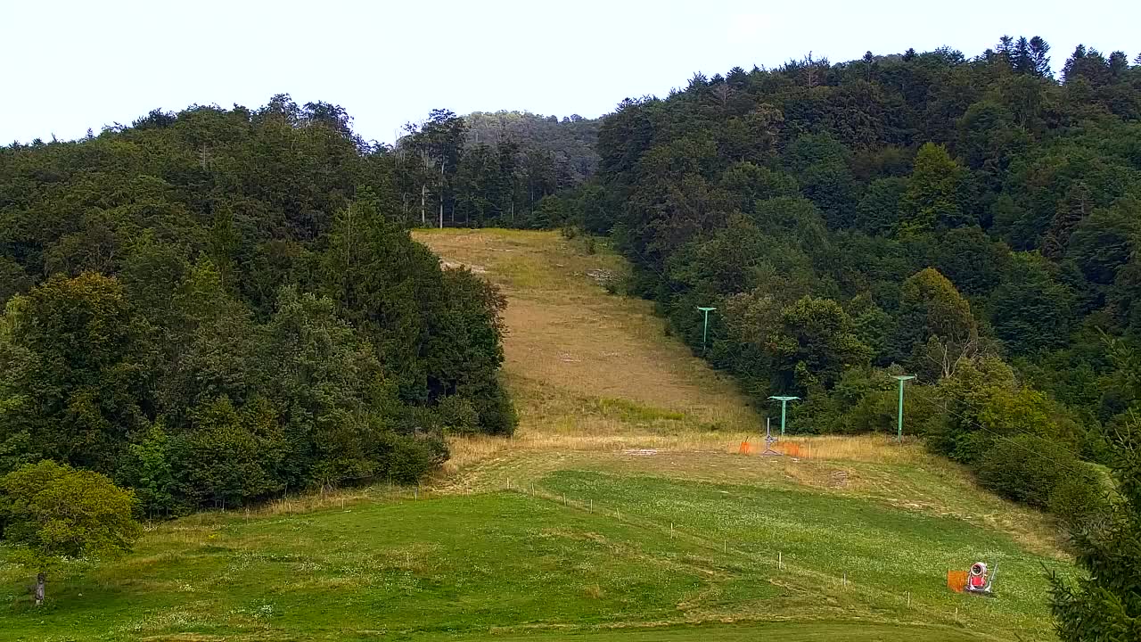 Webcam Lokve – The beauty of the Trnovo forest