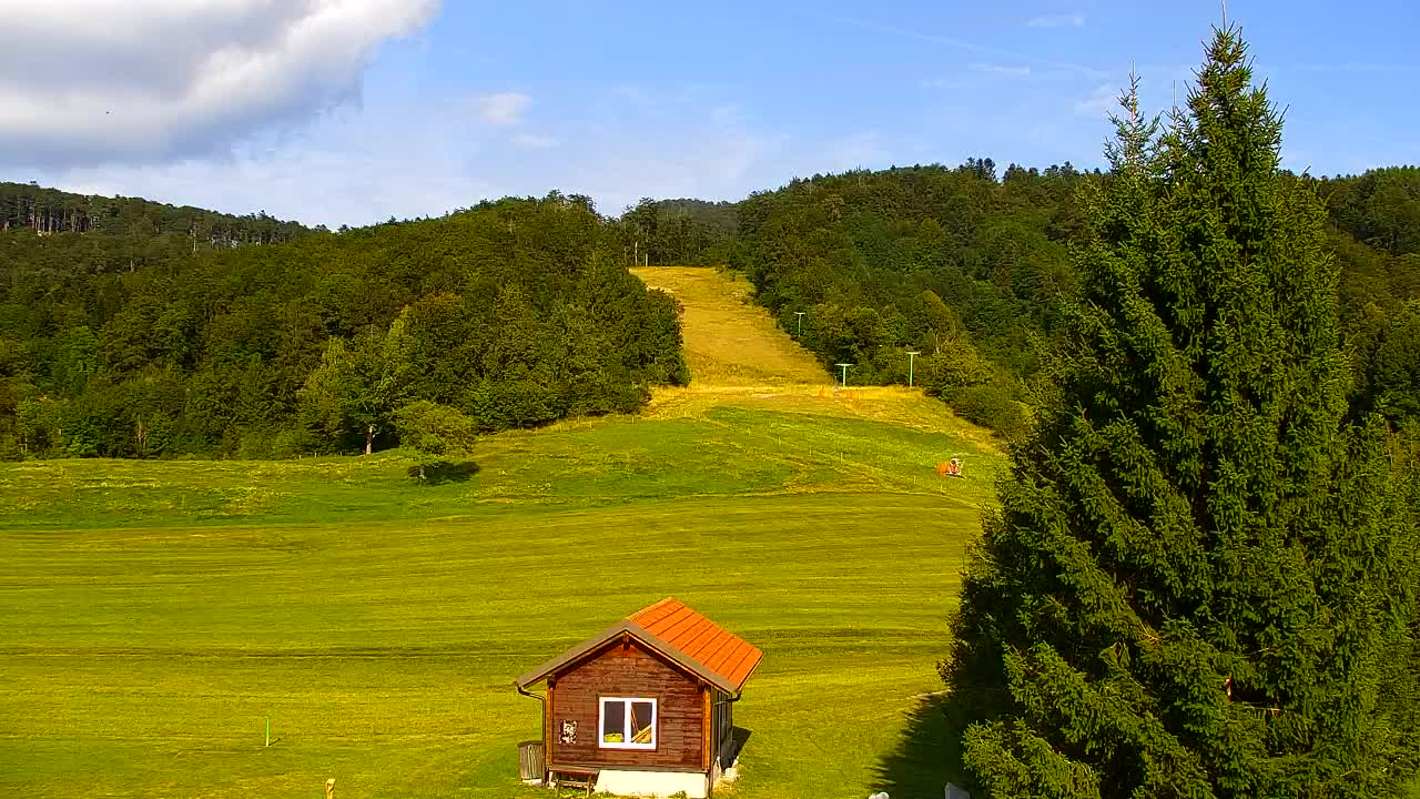 Lokve kamera – Naravne lepote Trnovskega gozda