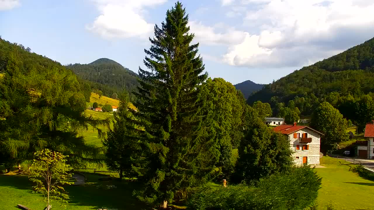 Webcam Lokve – Die Schönheit des Trnovo-Waldes