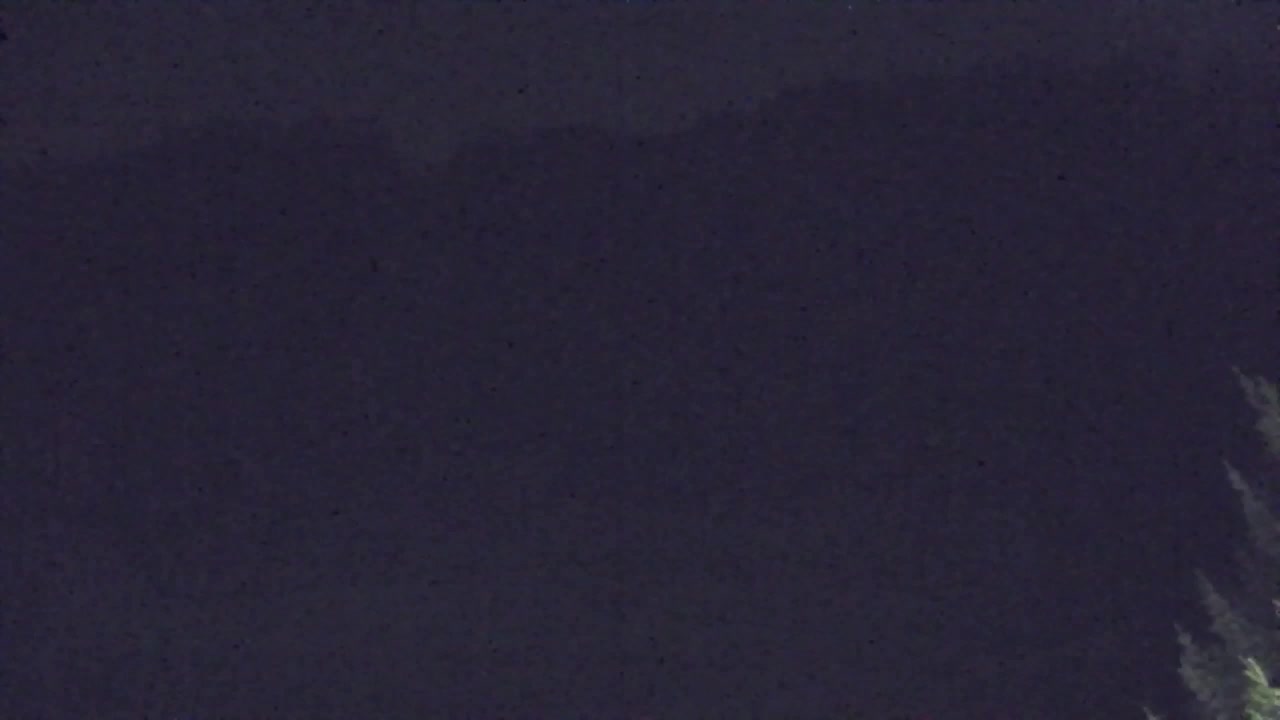 Webcam Lokve – The beauty of the Trnovo forest