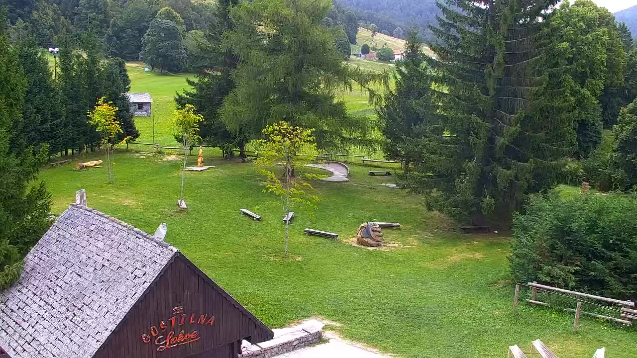 Webcam Loqua / Lokve – La bellezza della selva di Tarnova
