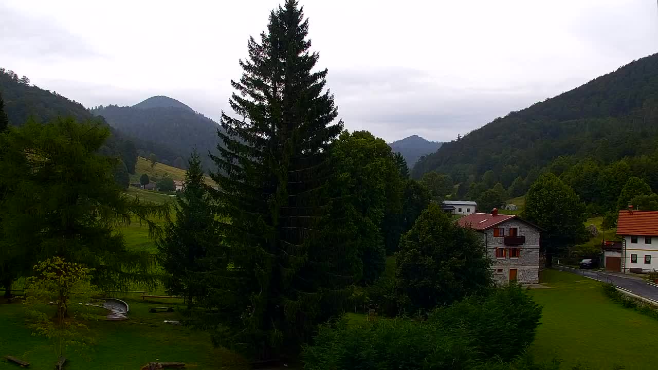 Webcam Loqua / Lokve – La bellezza della selva di Tarnova