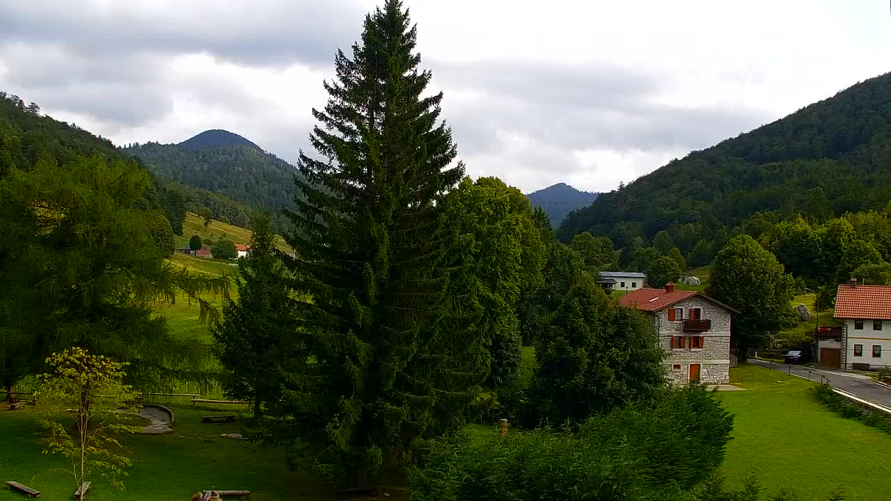 Webcam Lokve – The beauty of the Trnovo forest