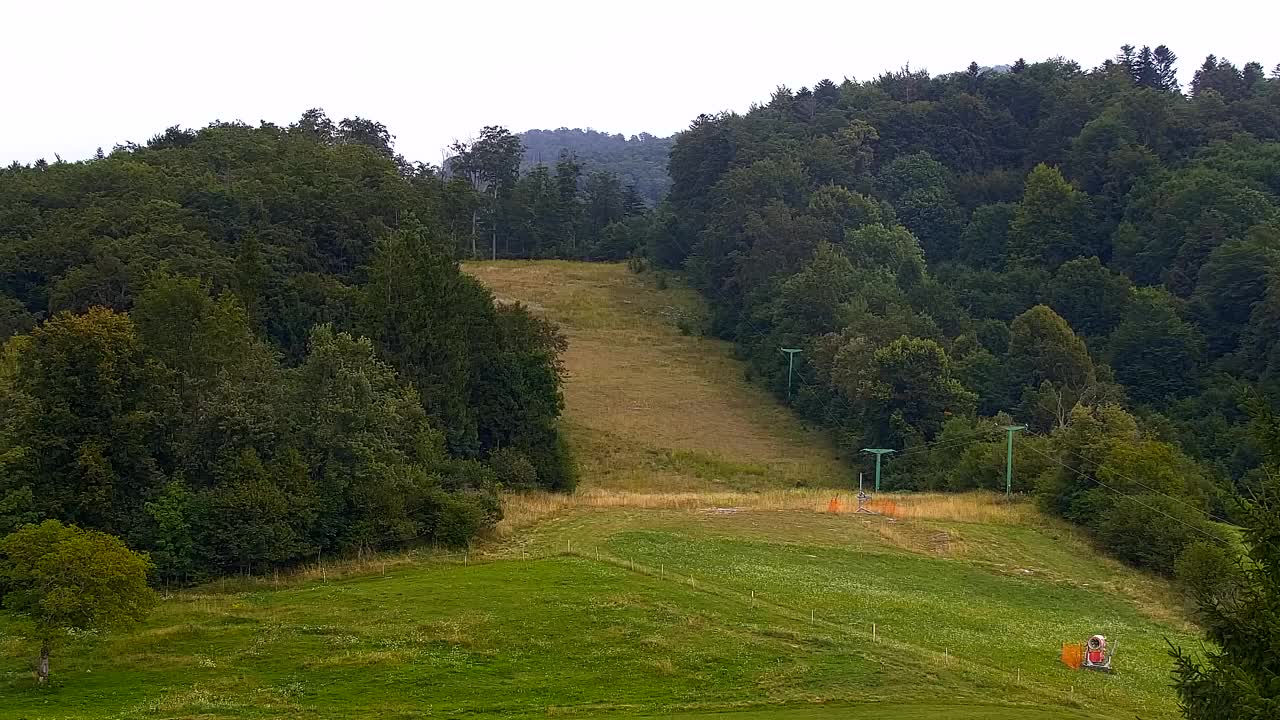 Camera en vivo Lokve – La belleza del bosque de Trnovo