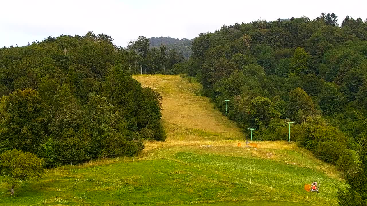 Webcam Lokve – The beauty of the Trnovo forest