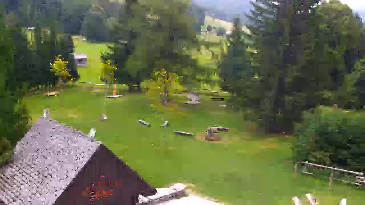 Webcam Lokve – La beauté de la forêt de Trnovo