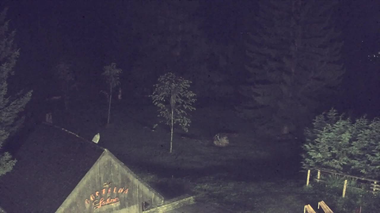 Webcam Lokve – Die Schönheit des Trnovo-Waldes