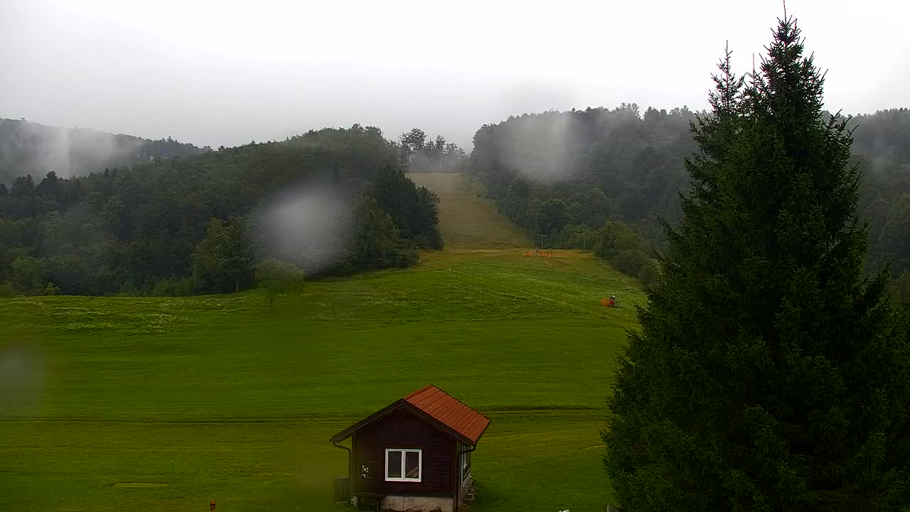 Webcam Lokve – The beauty of the Trnovo forest