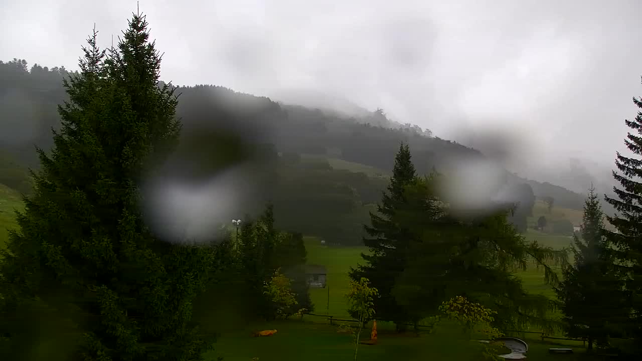 Webcam Lokve – The beauty of the Trnovo forest