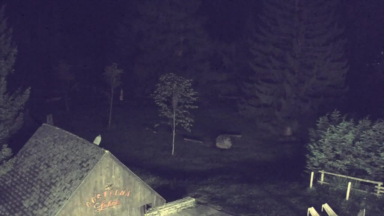 Webcam Lokve – The beauty of the Trnovo forest