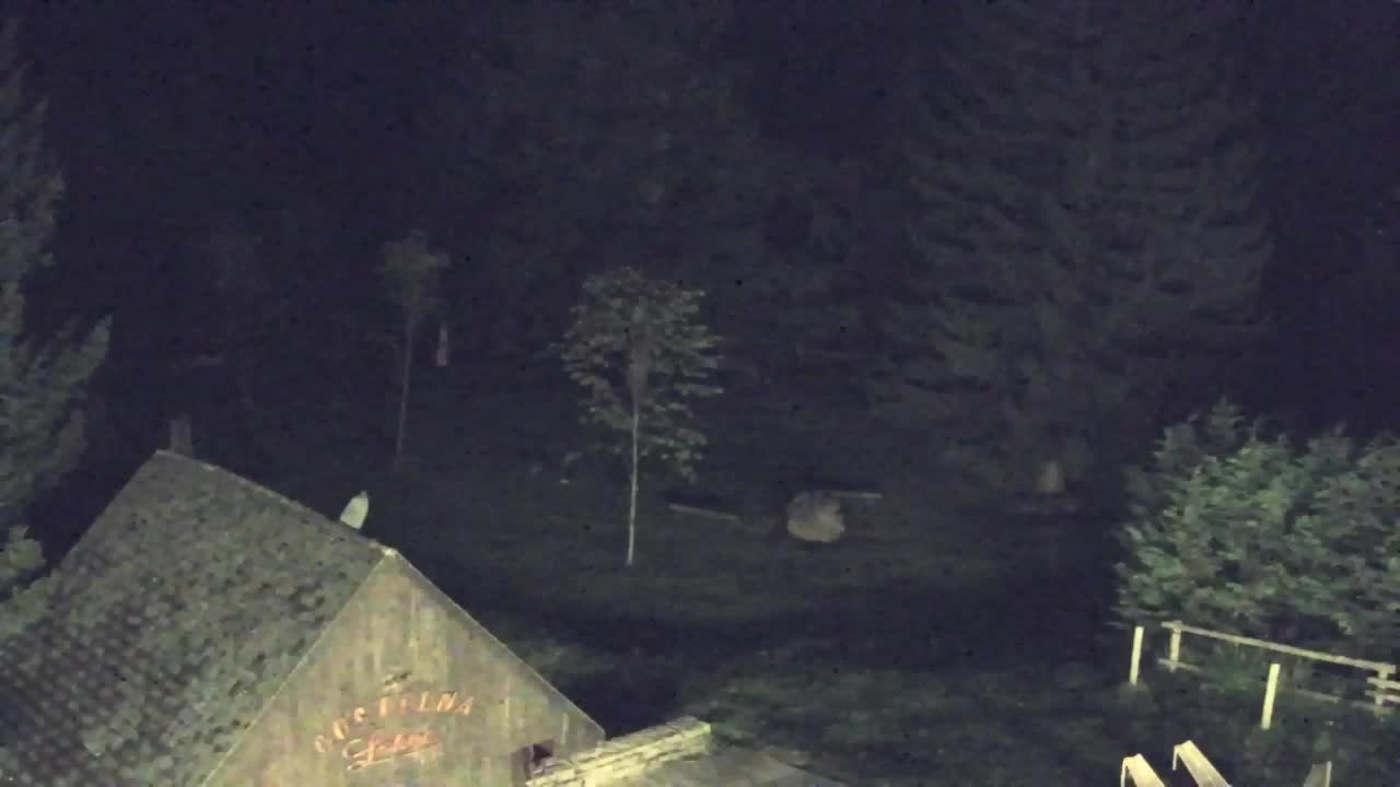 Webcam Lokve – The beauty of the Trnovo forest