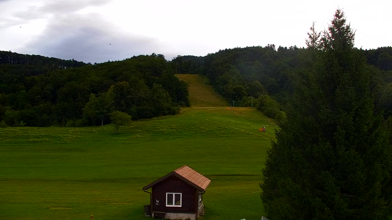 Webcam Lokve – La beauté de la forêt de Trnovo