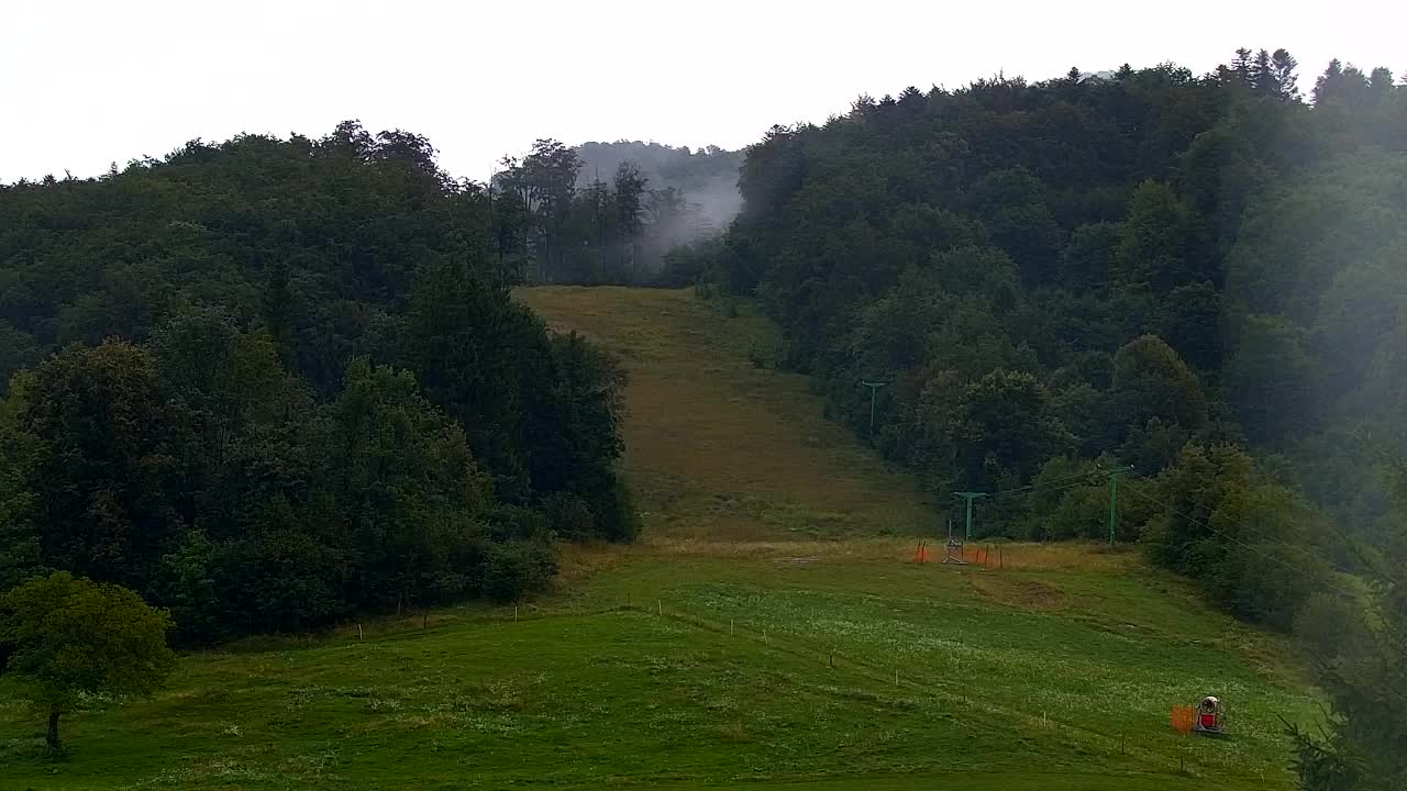 Webcam Loqua / Lokve – La bellezza della selva di Tarnova