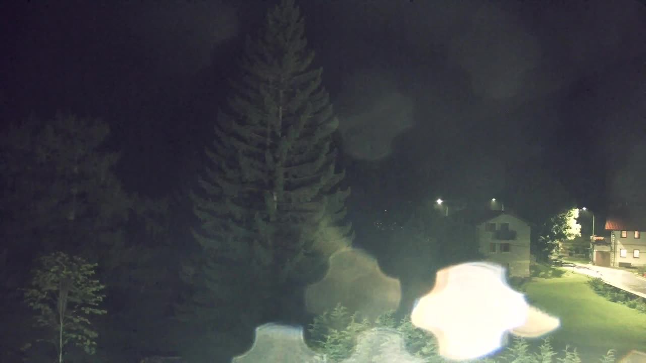 Webcam Loqua / Lokve – La bellezza della selva di Tarnova