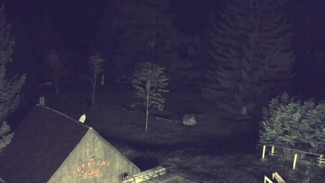 Webcam Lokve – The beauty of the Trnovo forest