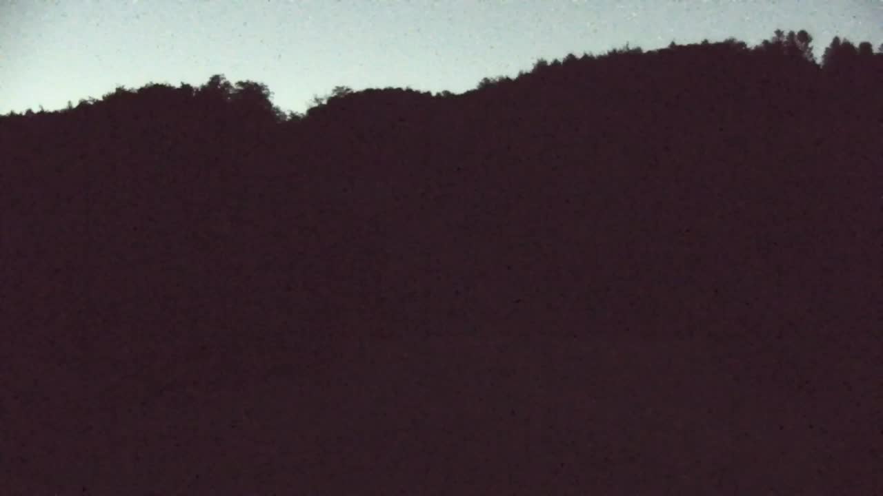 Webcam Lokve – The beauty of the Trnovo forest