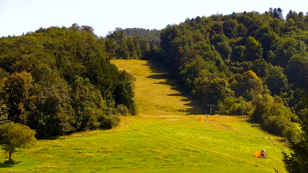 Webcam Lokve – The beauty of the Trnovo forest