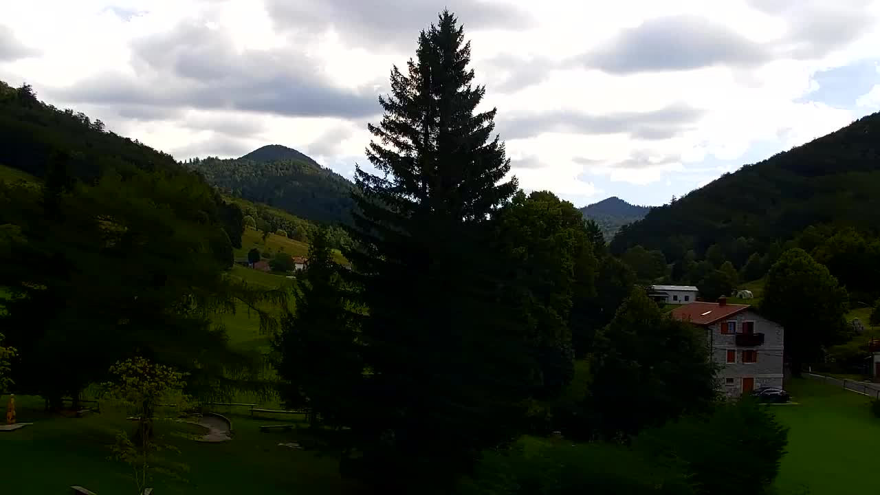 Webcam Loqua / Lokve – La bellezza della selva di Tarnova
