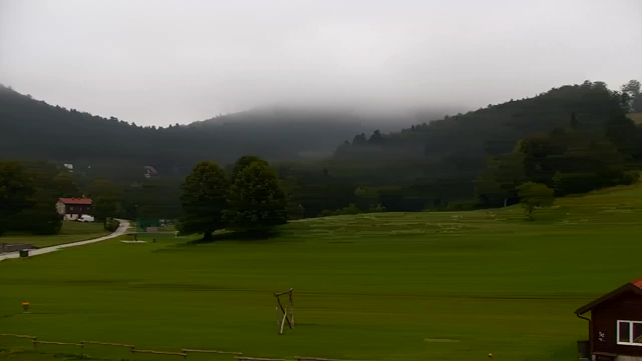 Webcam Lokve – The beauty of the Trnovo forest