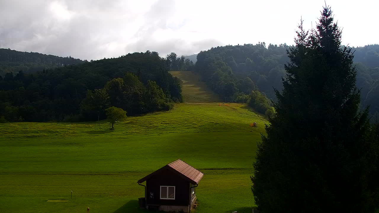 Webcam Lokve – La beauté de la forêt de Trnovo