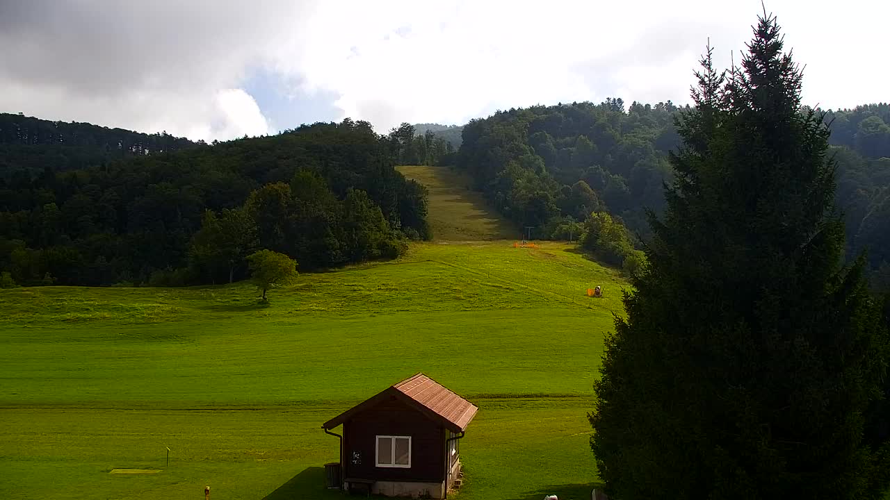 Webcam Lokve – La beauté de la forêt de Trnovo