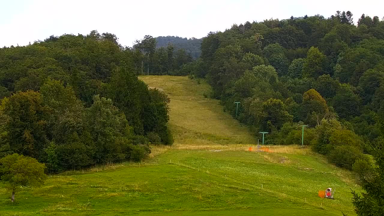 Webcam Lokve – La beauté de la forêt de Trnovo