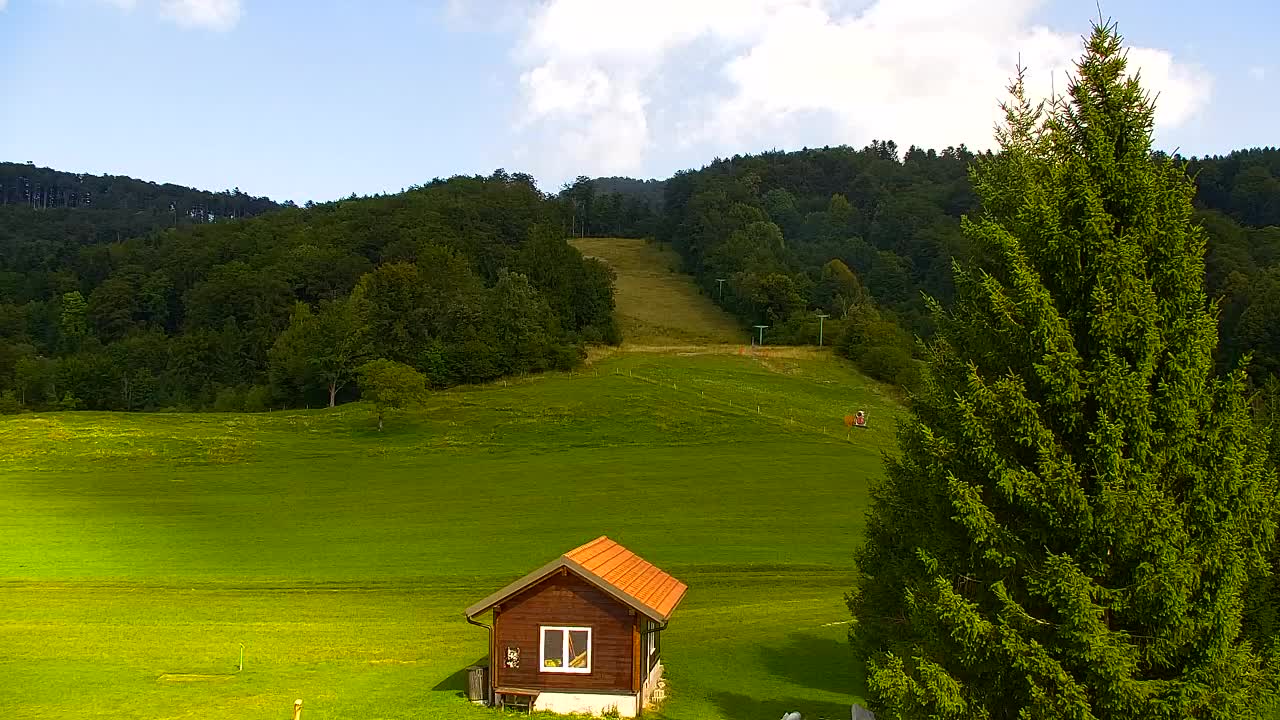Webcam Lokve – The beauty of the Trnovo forest