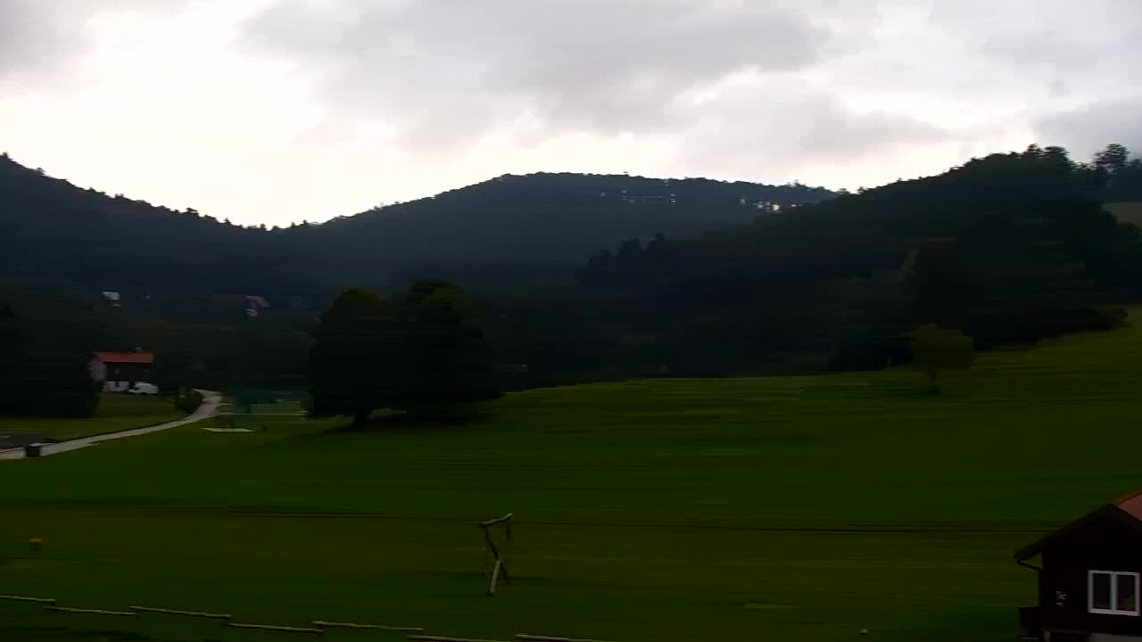 Webcam Loqua / Lokve – La bellezza della selva di Tarnova