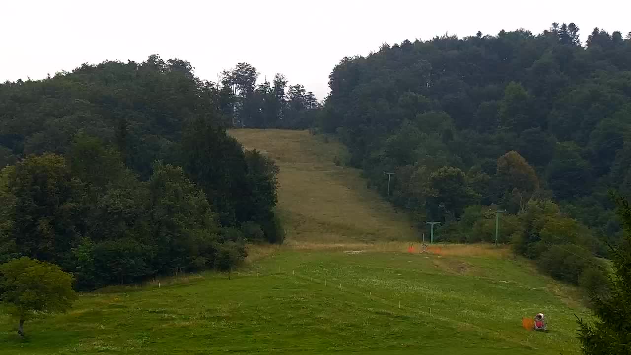 Webcam Loqua / Lokve – La bellezza della selva di Tarnova