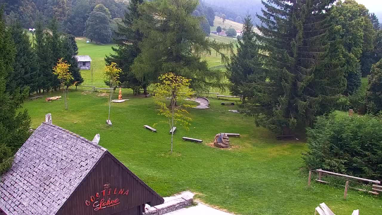 Webcam Lokve – La beauté de la forêt de Trnovo