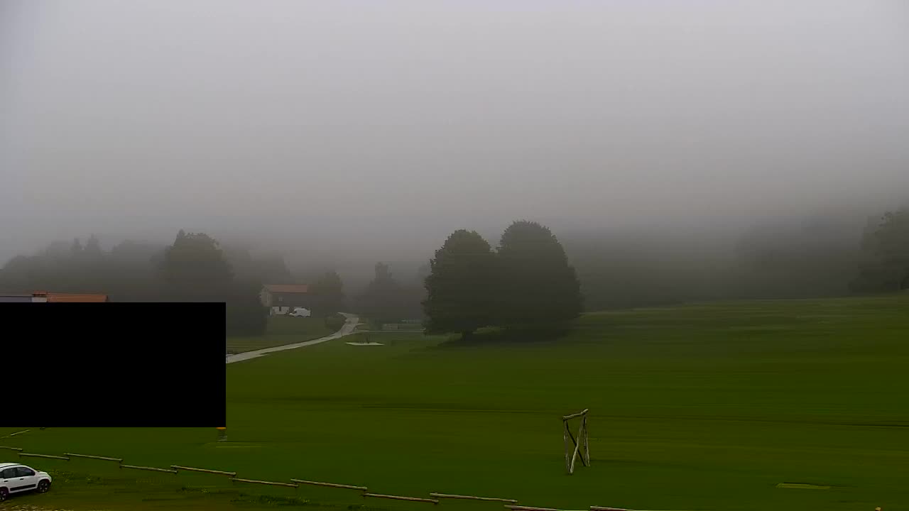 Webcam Lokve – The beauty of the Trnovo forest
