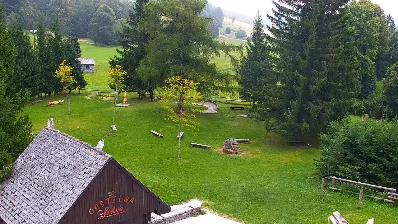Webcam Lokve – The beauty of the Trnovo forest