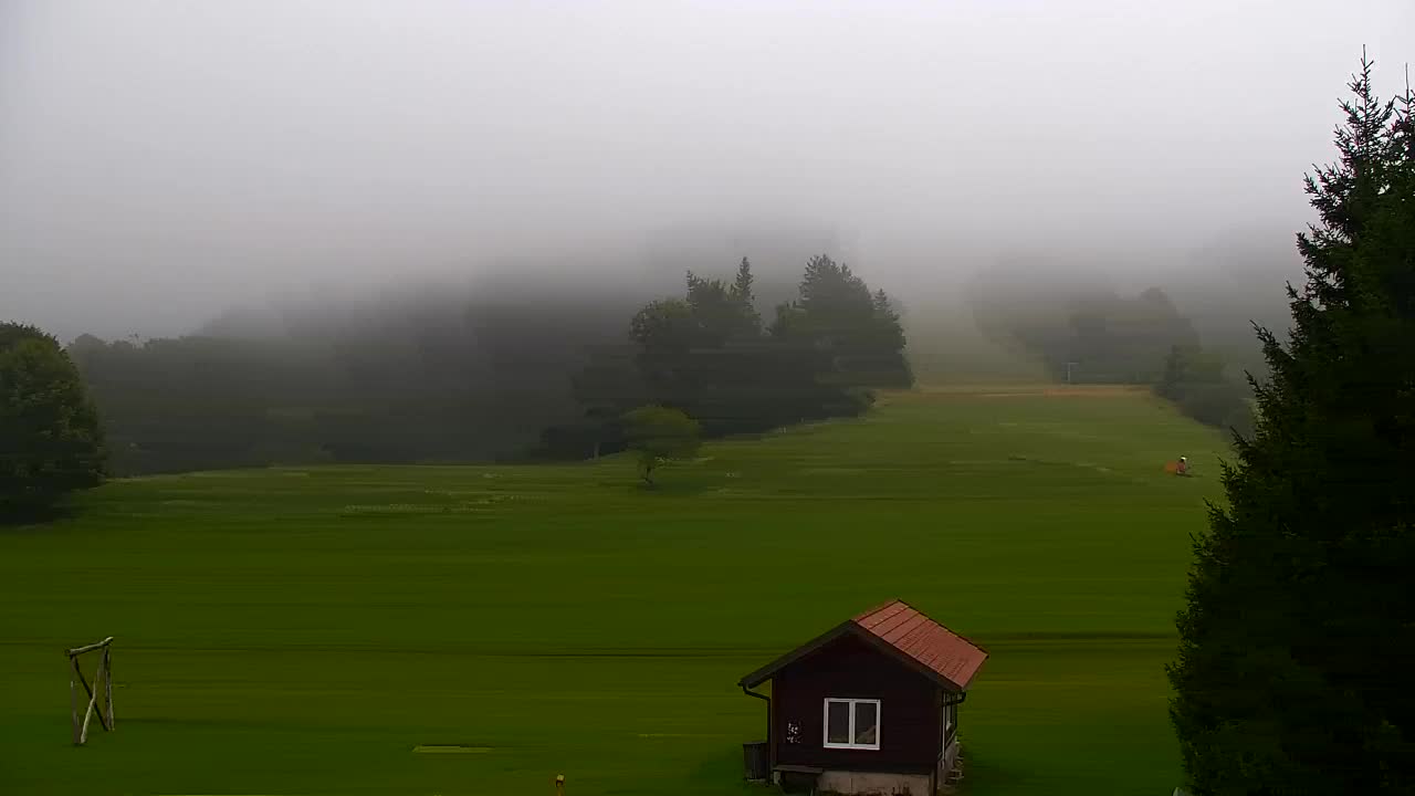 Webcam Loqua / Lokve – La bellezza della selva di Tarnova