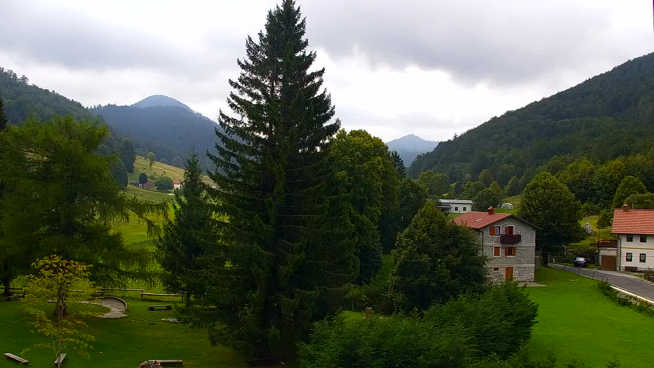 Camera en vivo Lokve – La belleza del bosque de Trnovo