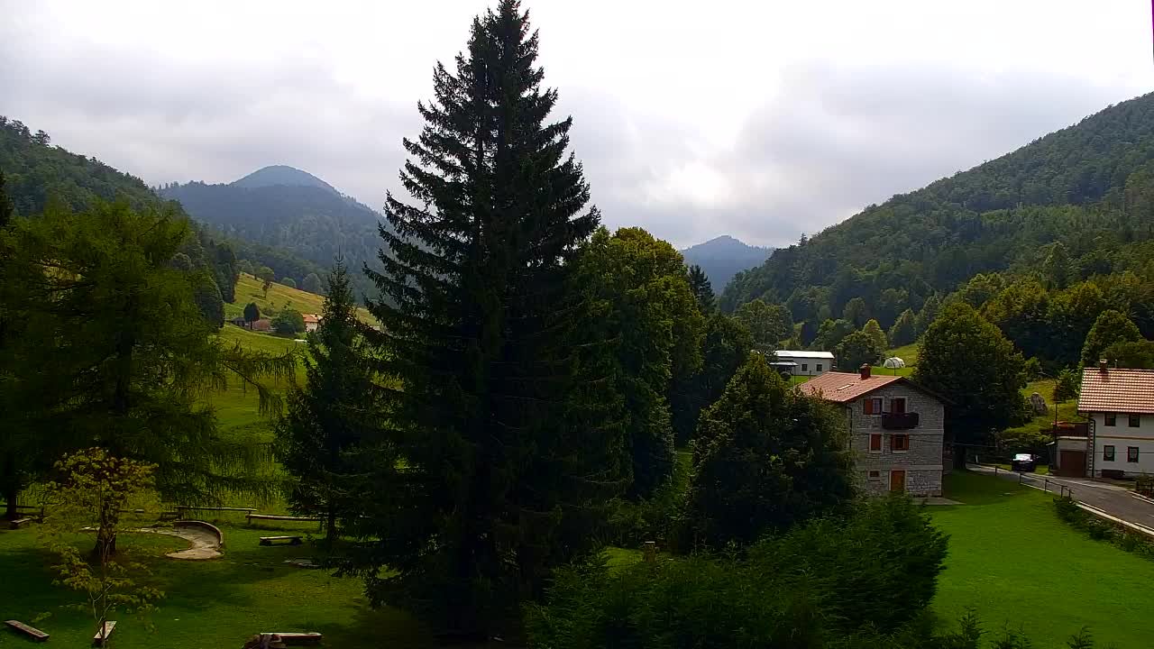 Camera en vivo Lokve – La belleza del bosque de Trnovo