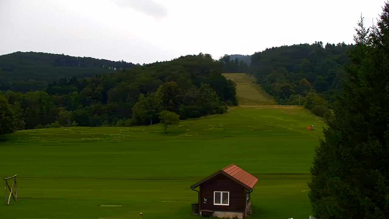 Webcam Lokve – The beauty of the Trnovo forest