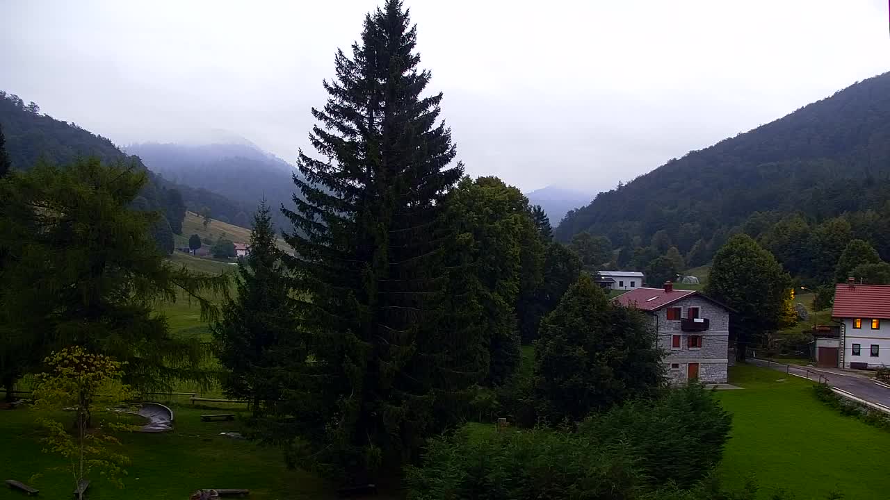 Webcam Lokve – The beauty of the Trnovo forest