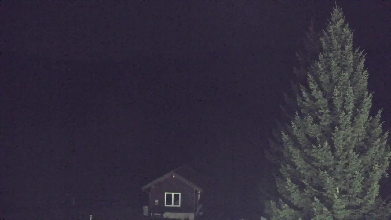 Webcam Lokve – La beauté de la forêt de Trnovo