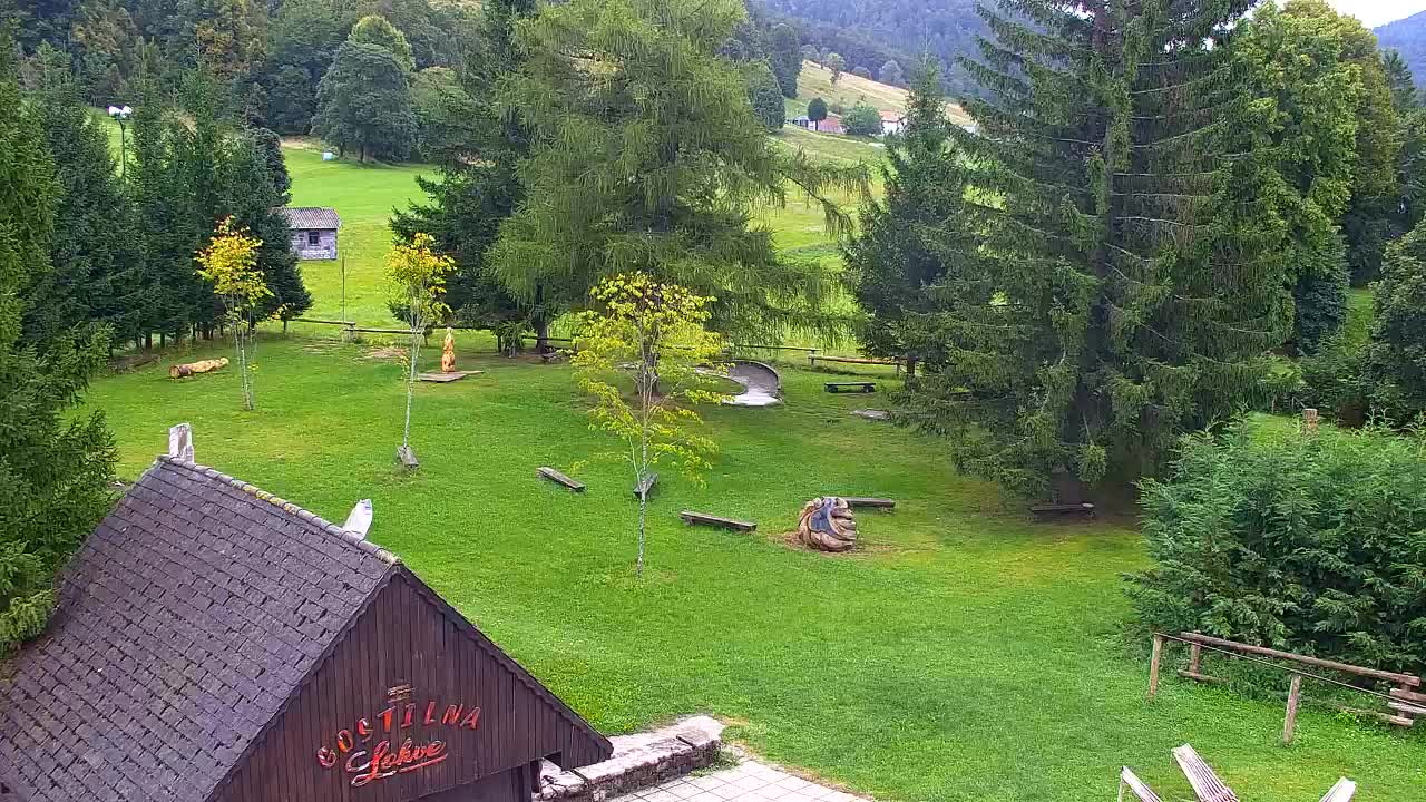 Webcam Lokve – The beauty of the Trnovo forest