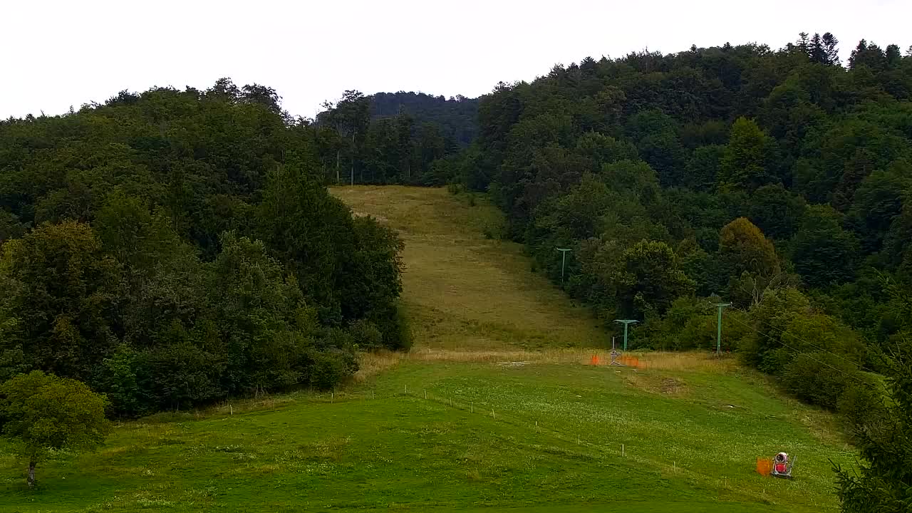 Webcam Lokve – La beauté de la forêt de Trnovo
