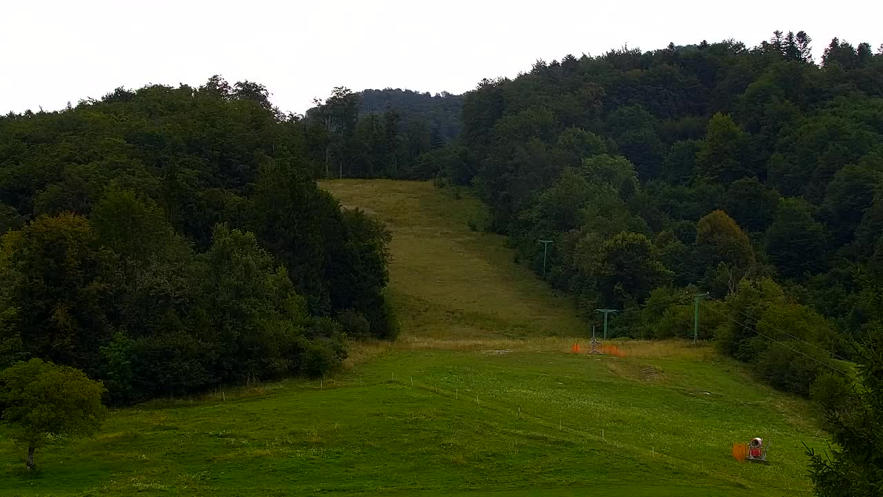 Webcam Lokve – La beauté de la forêt de Trnovo