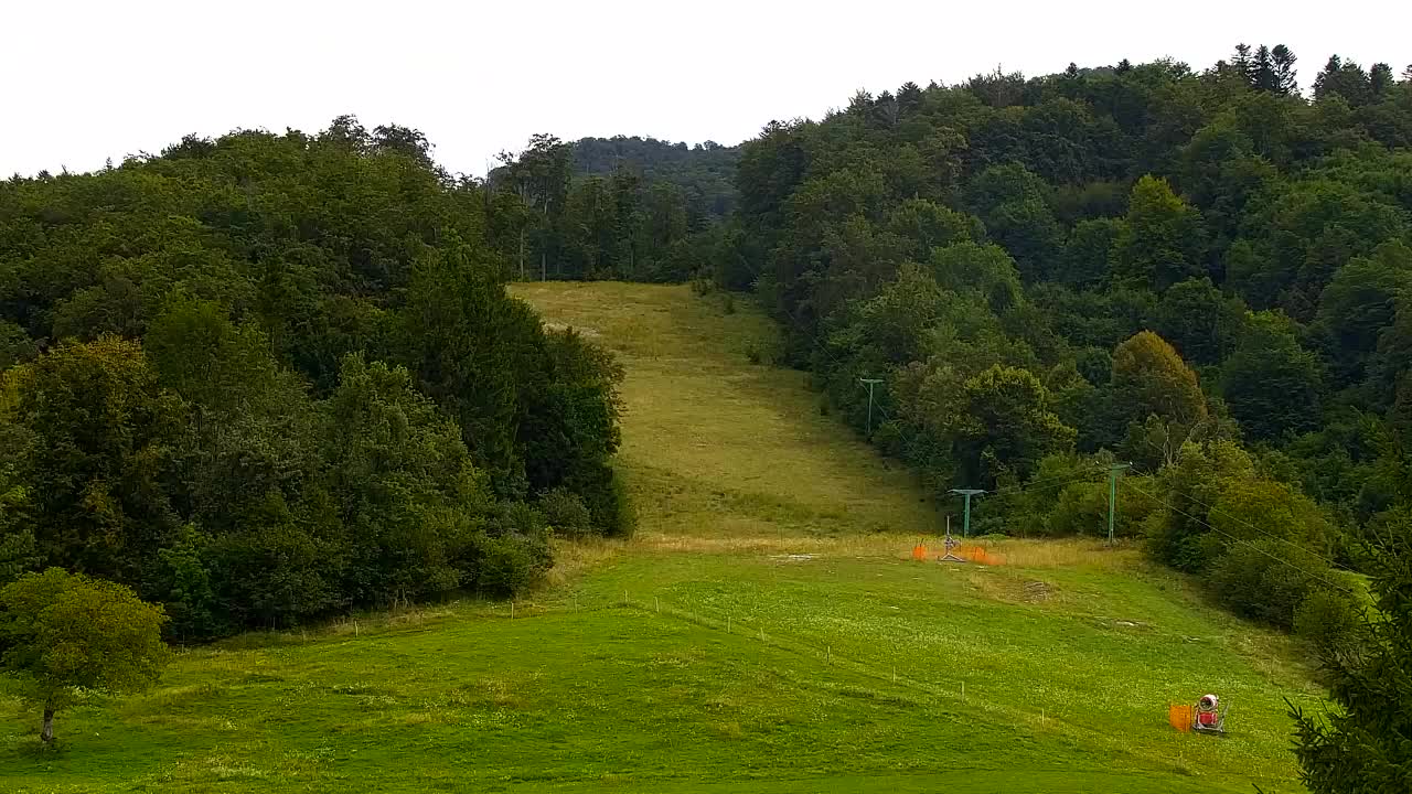 Webcam Loqua / Lokve – La bellezza della selva di Tarnova