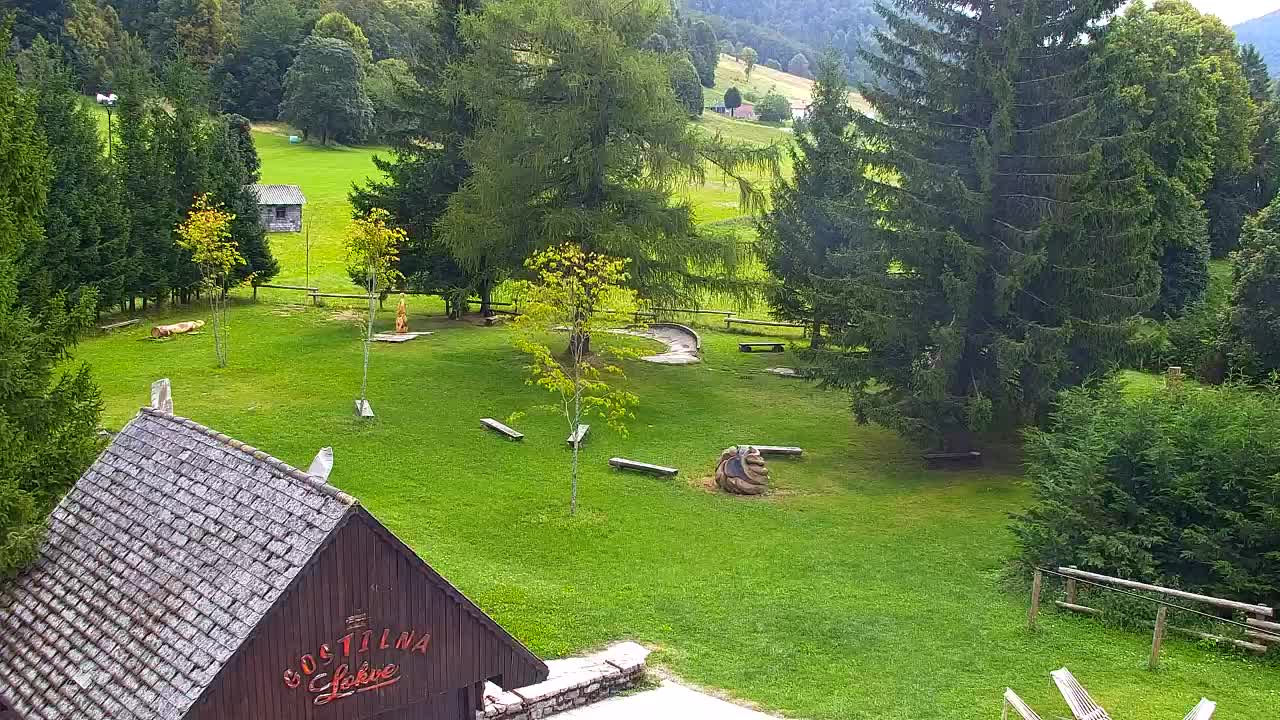 Webcam Loqua / Lokve – La bellezza della selva di Tarnova