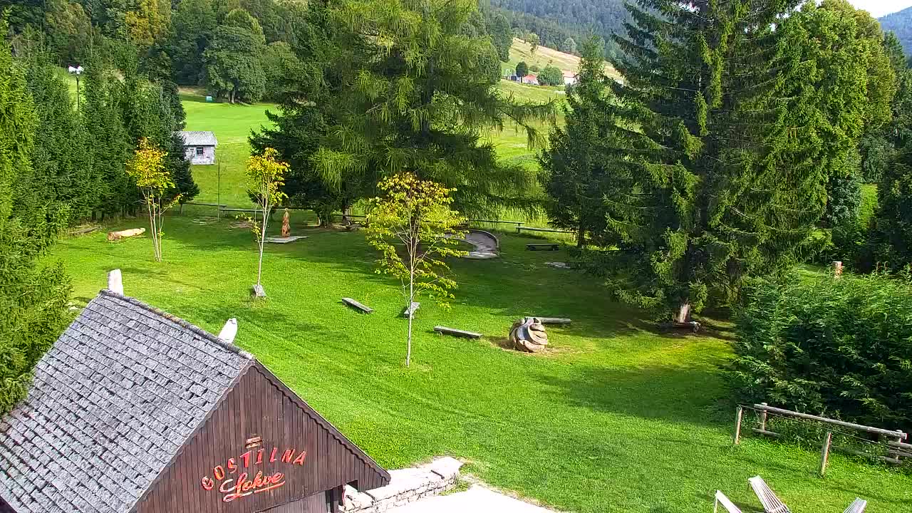 Webcam Loqua / Lokve – La bellezza della selva di Tarnova