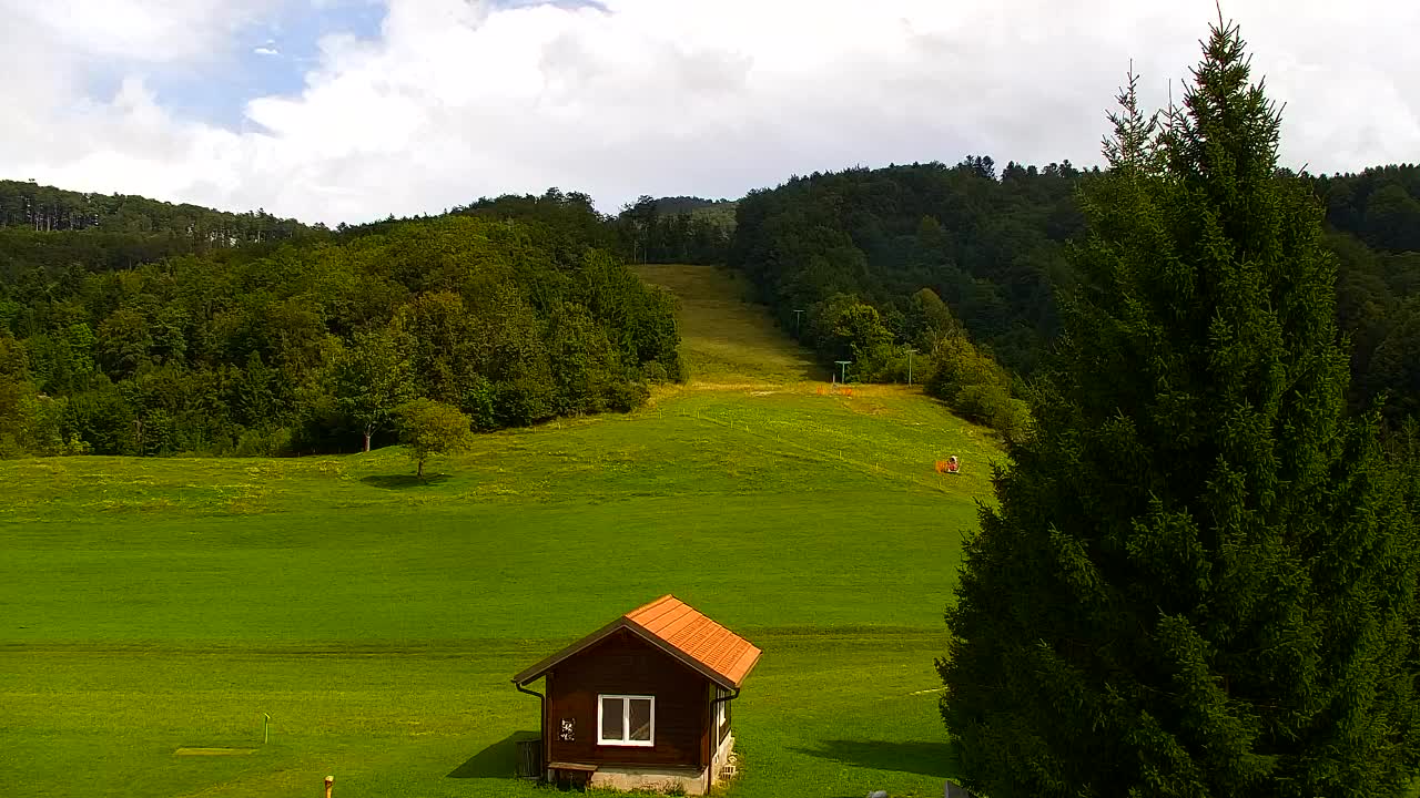 Webcam Lokve – La beauté de la forêt de Trnovo