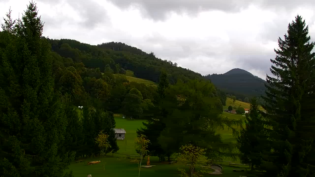 Webcam Lokve – La beauté de la forêt de Trnovo