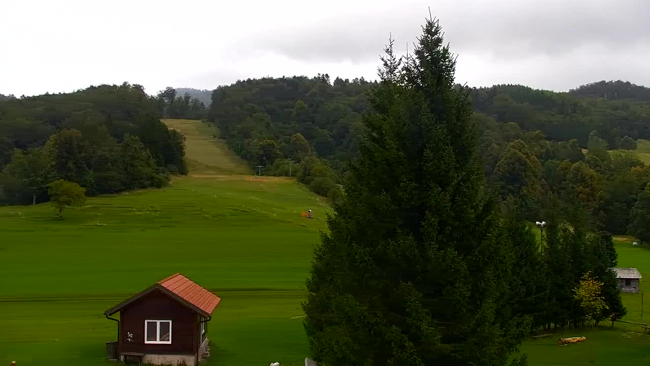 Webcam Lokve – The beauty of the Trnovo forest