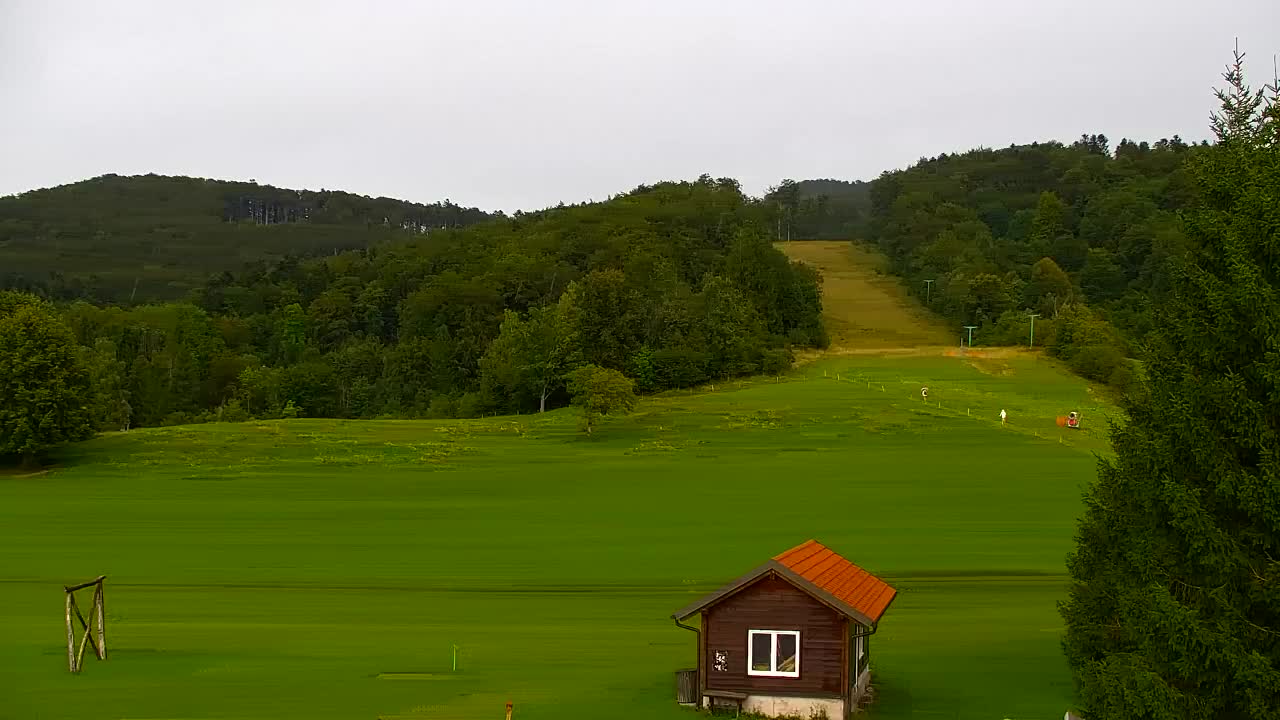 Webcam Loqua / Lokve – La bellezza della selva di Tarnova