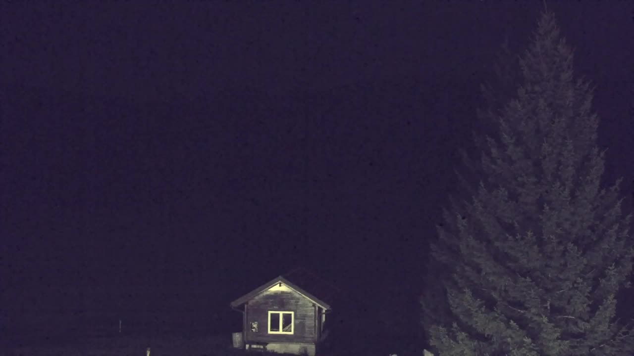 Webcam Lokve – The beauty of the Trnovo forest
