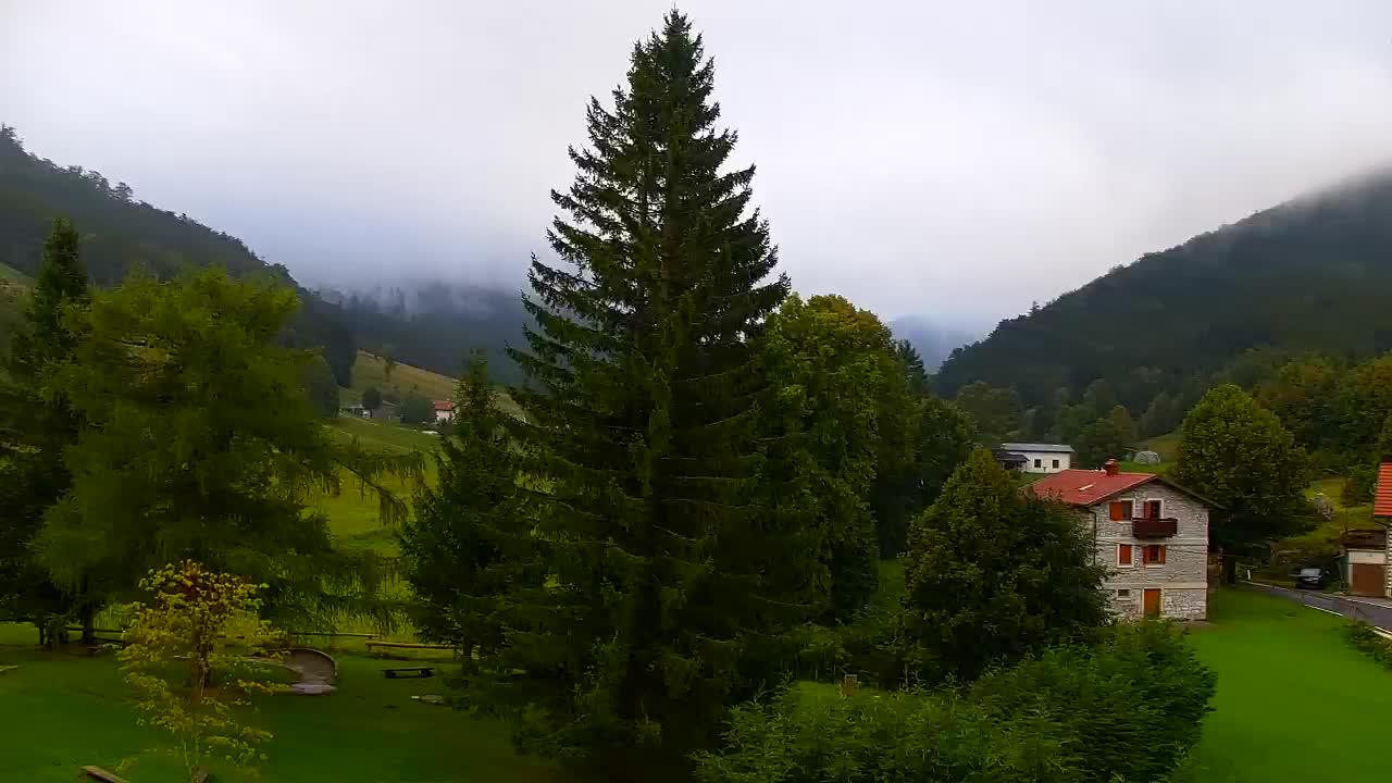Webcam Lokve – La beauté de la forêt de Trnovo